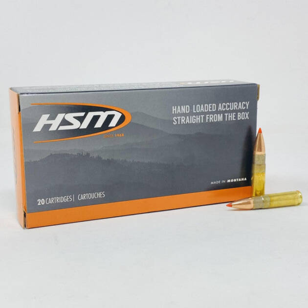 HSM 300 AAC Blackout Ammo 110 Grain Hornady V-Max Polymer Tip