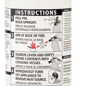 Kidde Kitchen Fire Extinguisher, Home Use for Grease Fires, 3.9 Lbs., Wall Mount Included, White                 