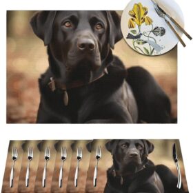 Placemats Set of 6 PCS Washable PVC Table Mats Heat Resistant Vinyl Woven Place Mats Cute Labrador Dog Placemats Non-Slip Wipeable Placemats for Kitchen Dining Table Decoration 18 x 12 Inch                 