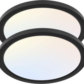 hykolity 2 Pack 12 Inch Selectable CCT LED Round Flat Panel Light, 24W, 3000K/4000K/5000K, Edge-Lit Flush Mount Ceiling Light Fixture for Kitchen, Bedroom and Closet Room, Black