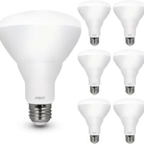 Feit Electric BR30 LED Light Bulbs, 100W Equivalent, Dimmable, E26 Standard Base, 80 CRI, 1400 Lumens, 5000K Daylight, 120V, 10 Years Lifetime, Damp Rated, 6 Pack, 100BR30DM85010KLED/6