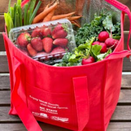 Regular VSA Bag